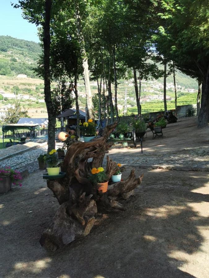 Quinta Da Cartida Villa Santa Marinha do Zêzere Eksteriør billede
